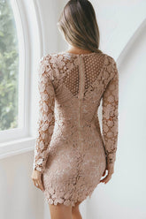 Reinhart Lace Overlay Mini Dress Mocha